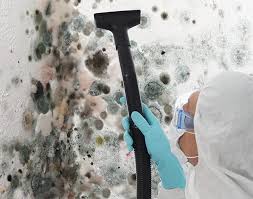 Mold Remediation for Vacation Homes in Mount Airy, GA